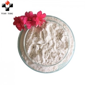 high quality natural diatomite powder (2)